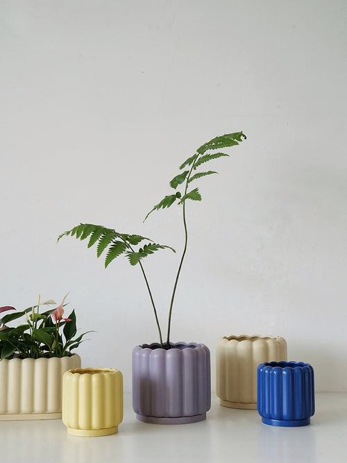 75cb7938b16fa9e02b3330859597cb1c
