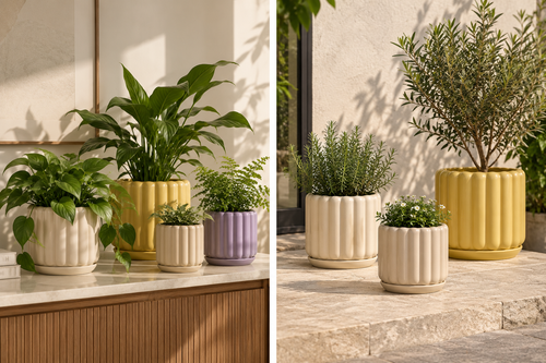 Modern Ribbed Ceramic Planter Pot with Drainage Hole and Tray for Indoor Plants, Succulents, Flowers, Desktop, Shelf and Home Décor