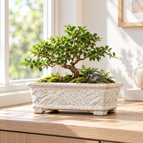 Rectangular Crackle Glaze Ceramic Planter Pot for Bonsai, Succulents, Indoor Plants, Tabletop Garden and Home Décor
