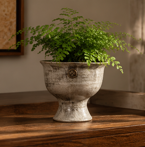Handmade Wabi-Sabi Ceramic Planter Pot for Orchids, Ferns, Indoor Plants, Desktop Tabletop and Home Décor