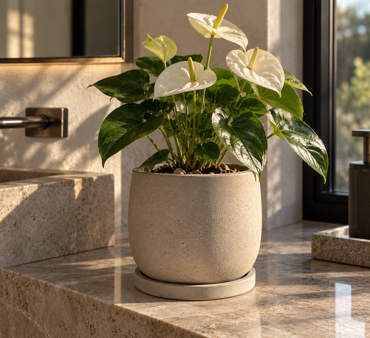 Round Cement Planter Pot for Indoor Plants, Tabletop Flower Pot for Home Décor, Office, Hotel, Shopping Mall and Greenery Displays